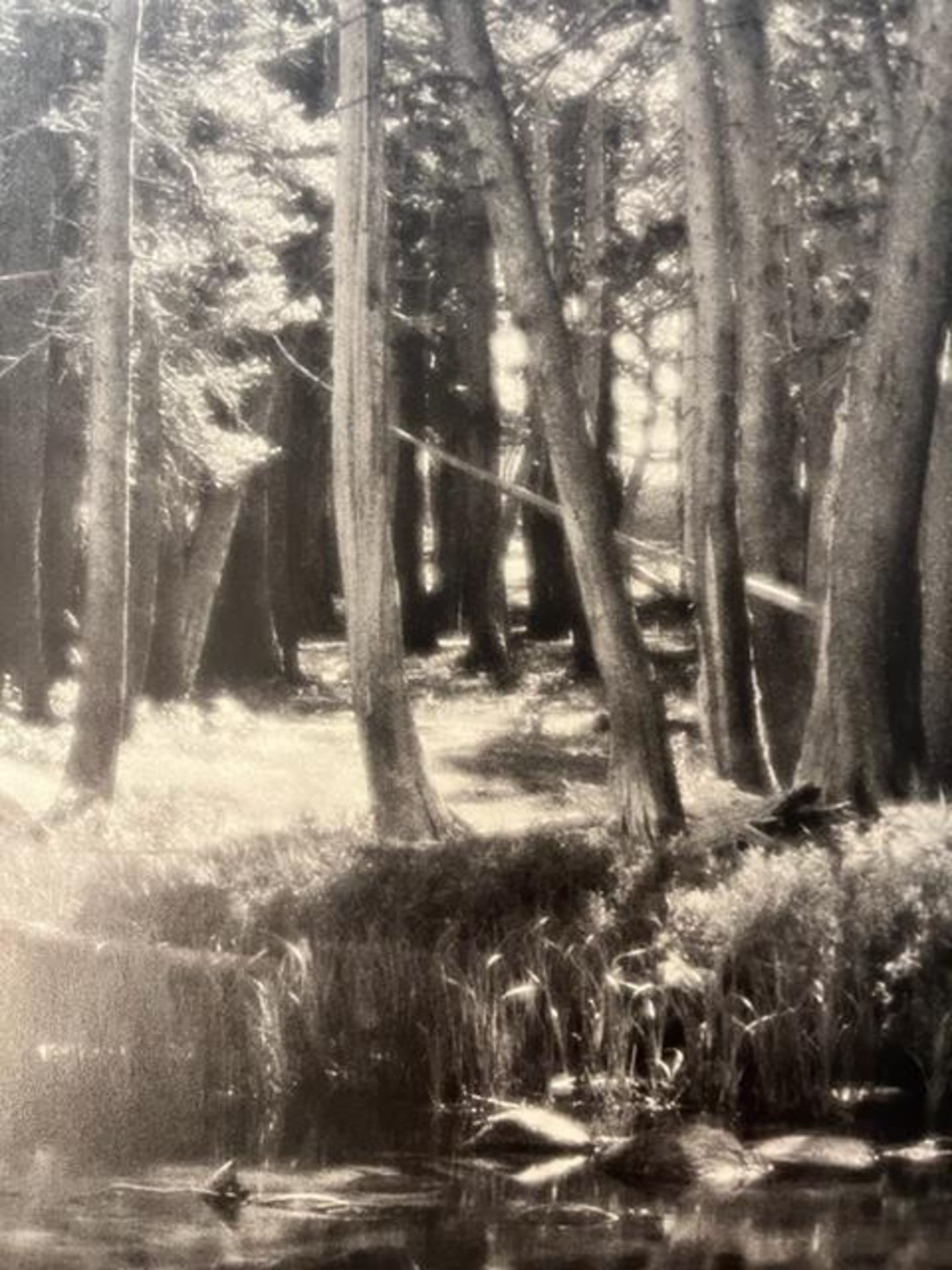 Ansel Adams "Forest and Stream" Print. - Bild 5 aus 6