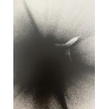 Shomei Tomatsu "Untitled" Print.