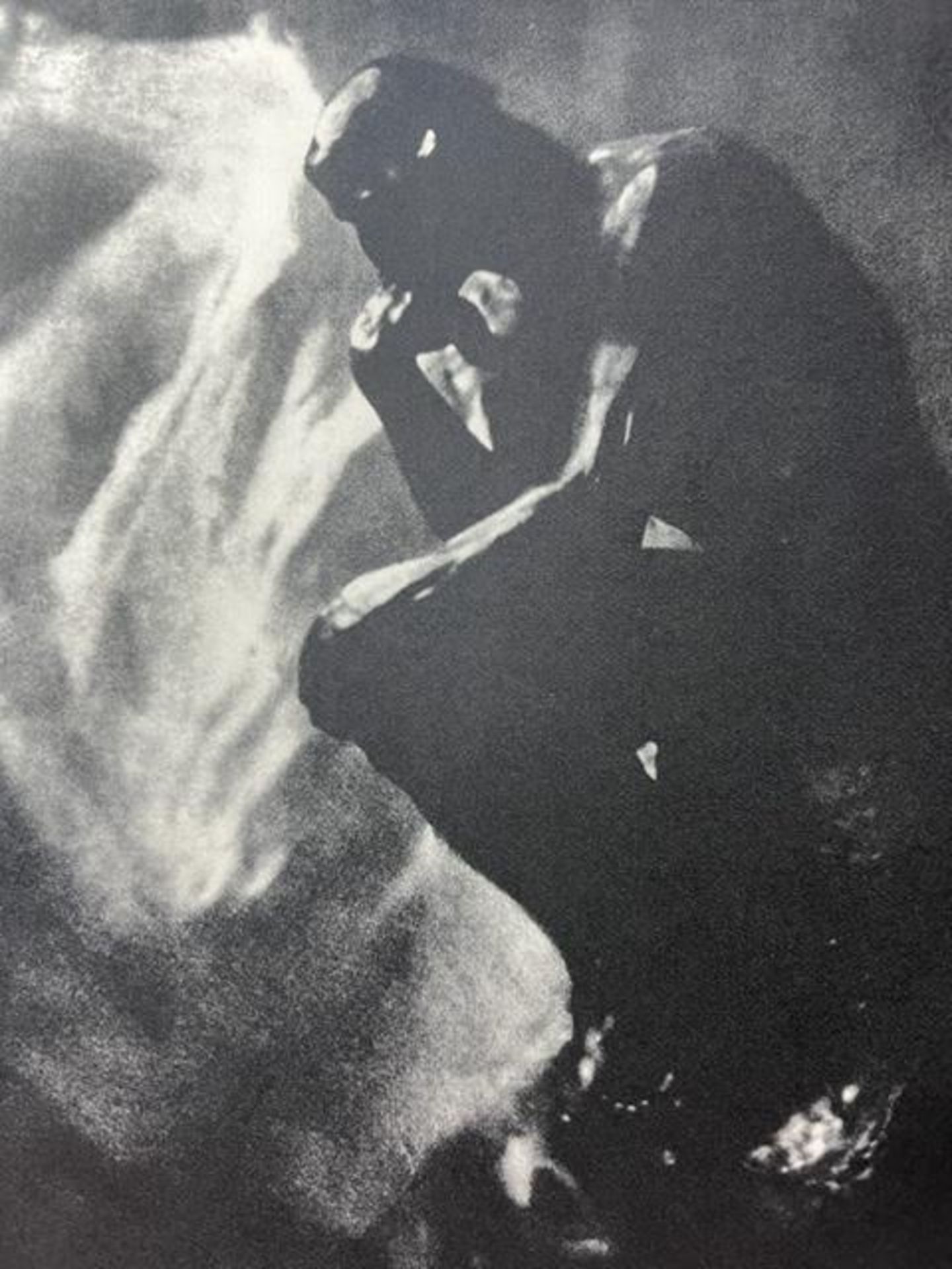 Edward Steichen "Rodin-Le Penseur" Print. - Image 2 of 6