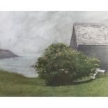 Jamie Wyeth "Island Roses" Print