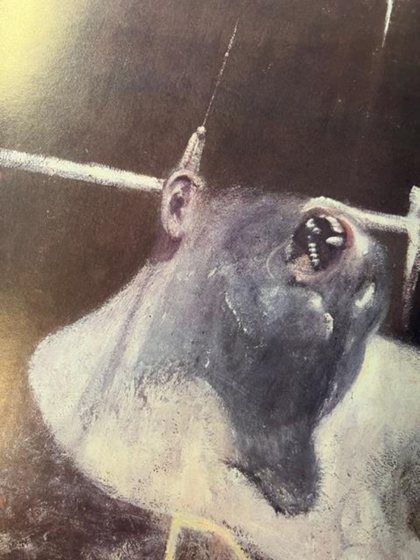 Francis Bacon "Head I" Print. - Image 6 of 6