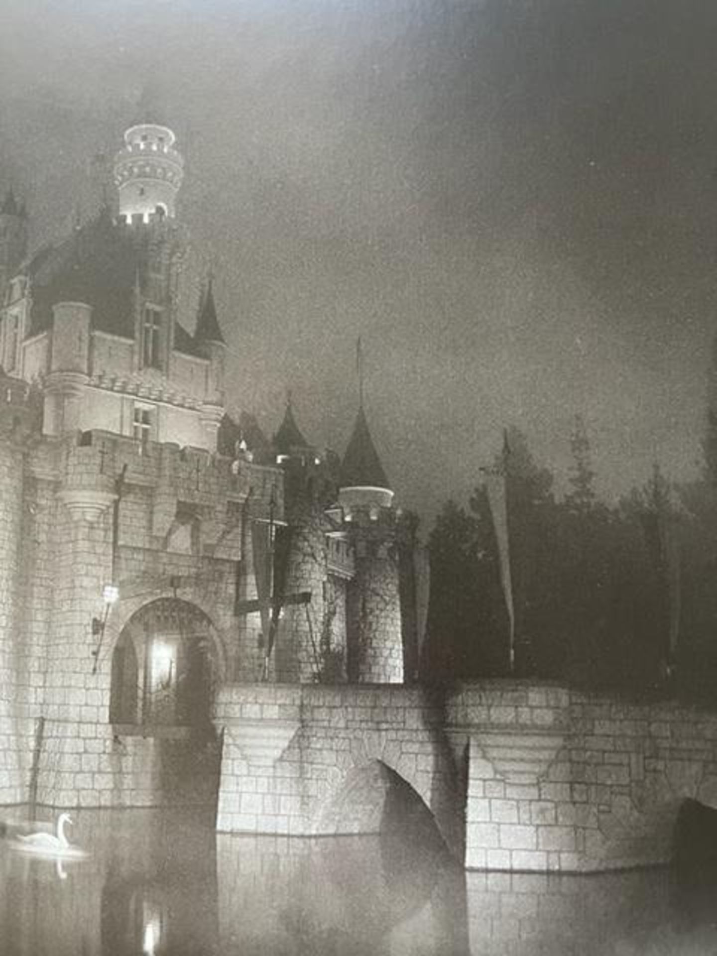 Diane Arbus "A castle in Disneyland" Print. - Image 2 of 6