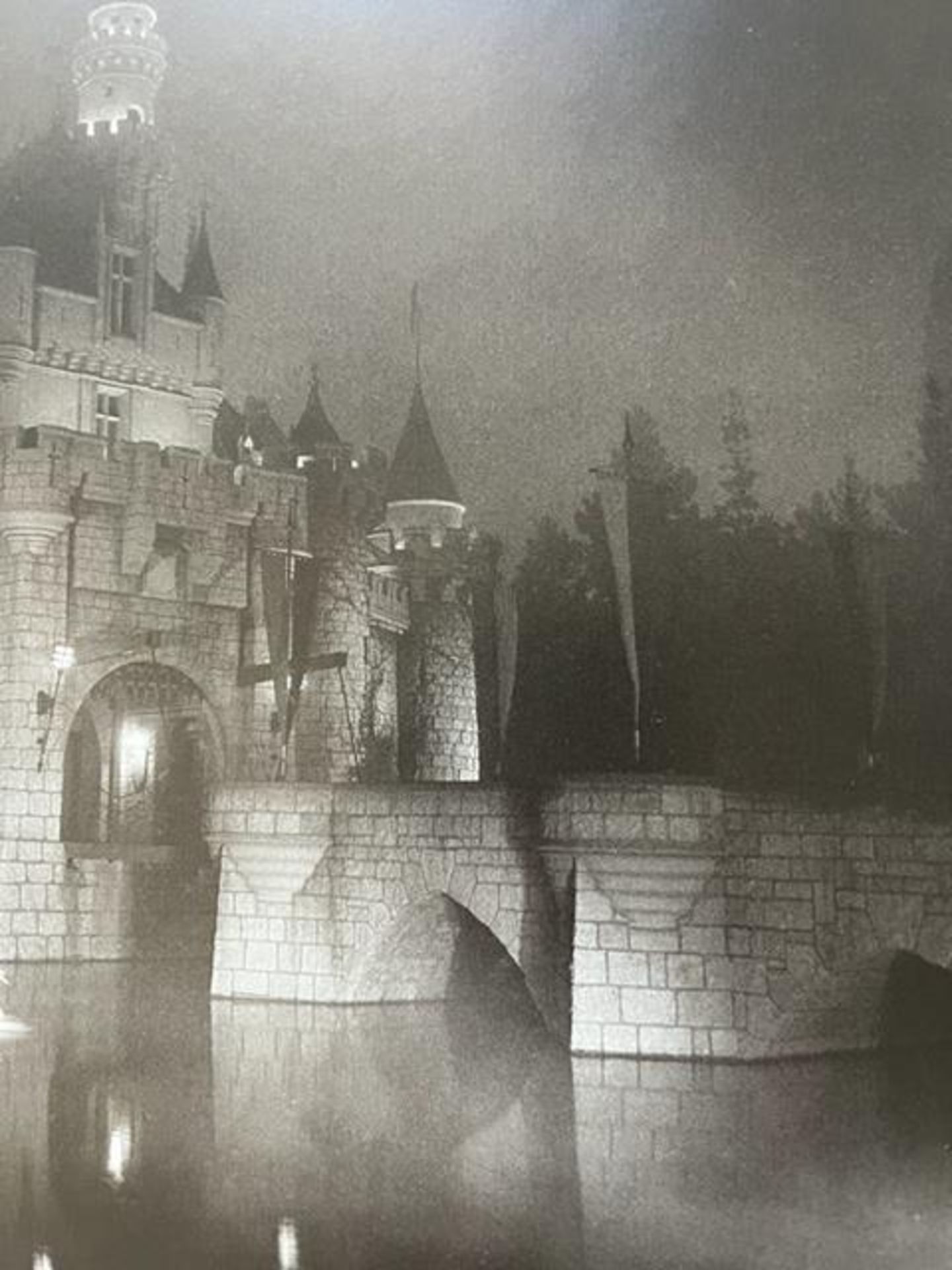 Diane Arbus "A castle in Disneyland" Print. - Image 5 of 6