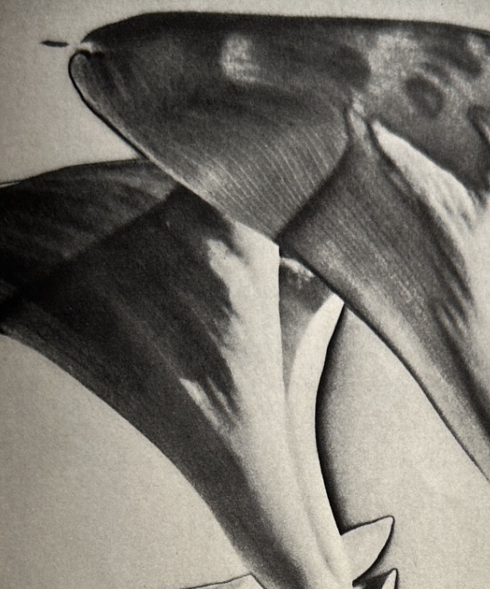 Man Ray "Untitled" Print.  - Image 2 of 6