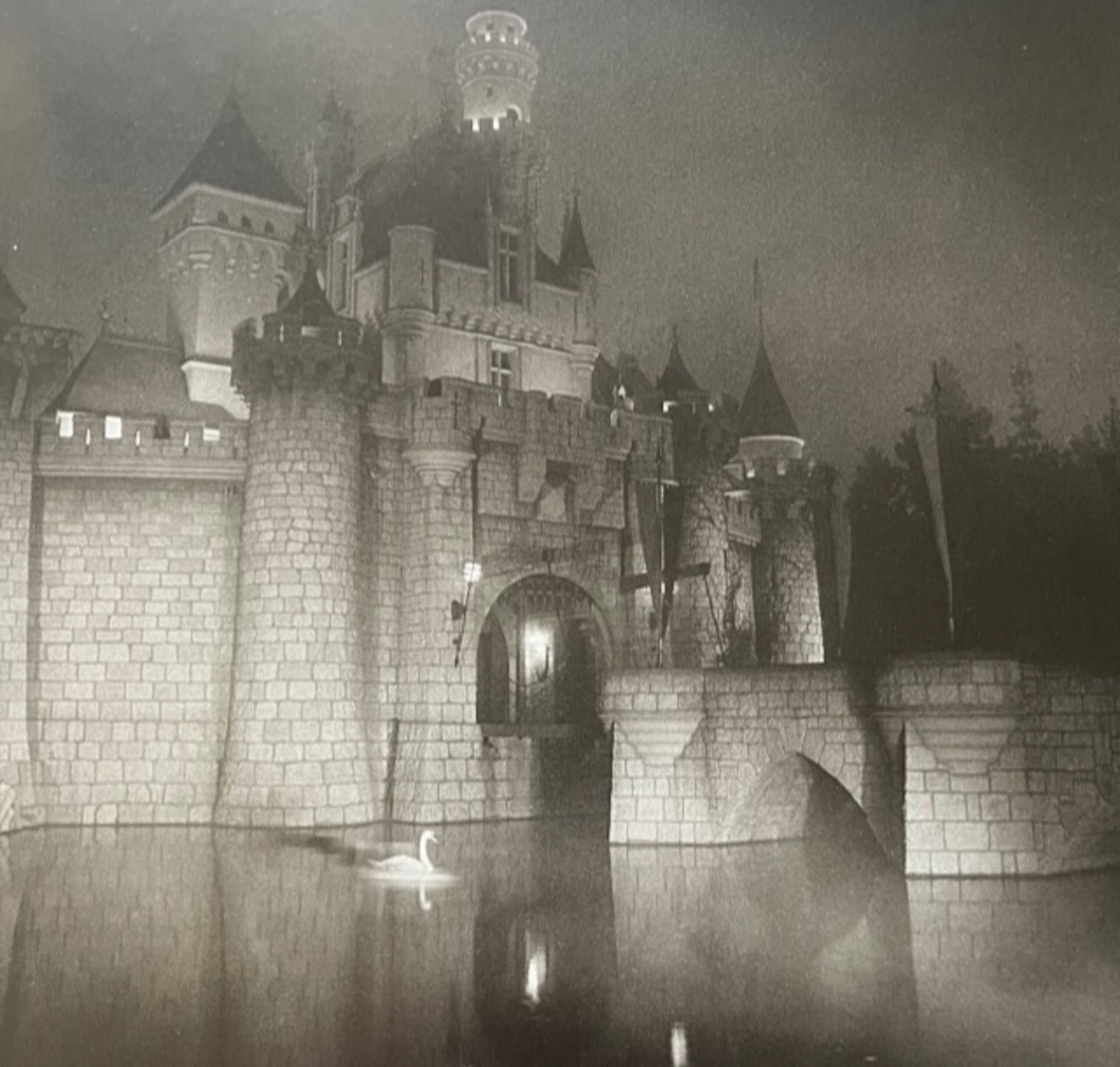 Diane Arbus "A castle in Disneyland" Print.
