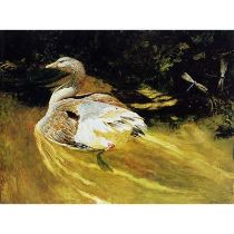 Jamie Wyeth "Dragonflies, 1988" Print