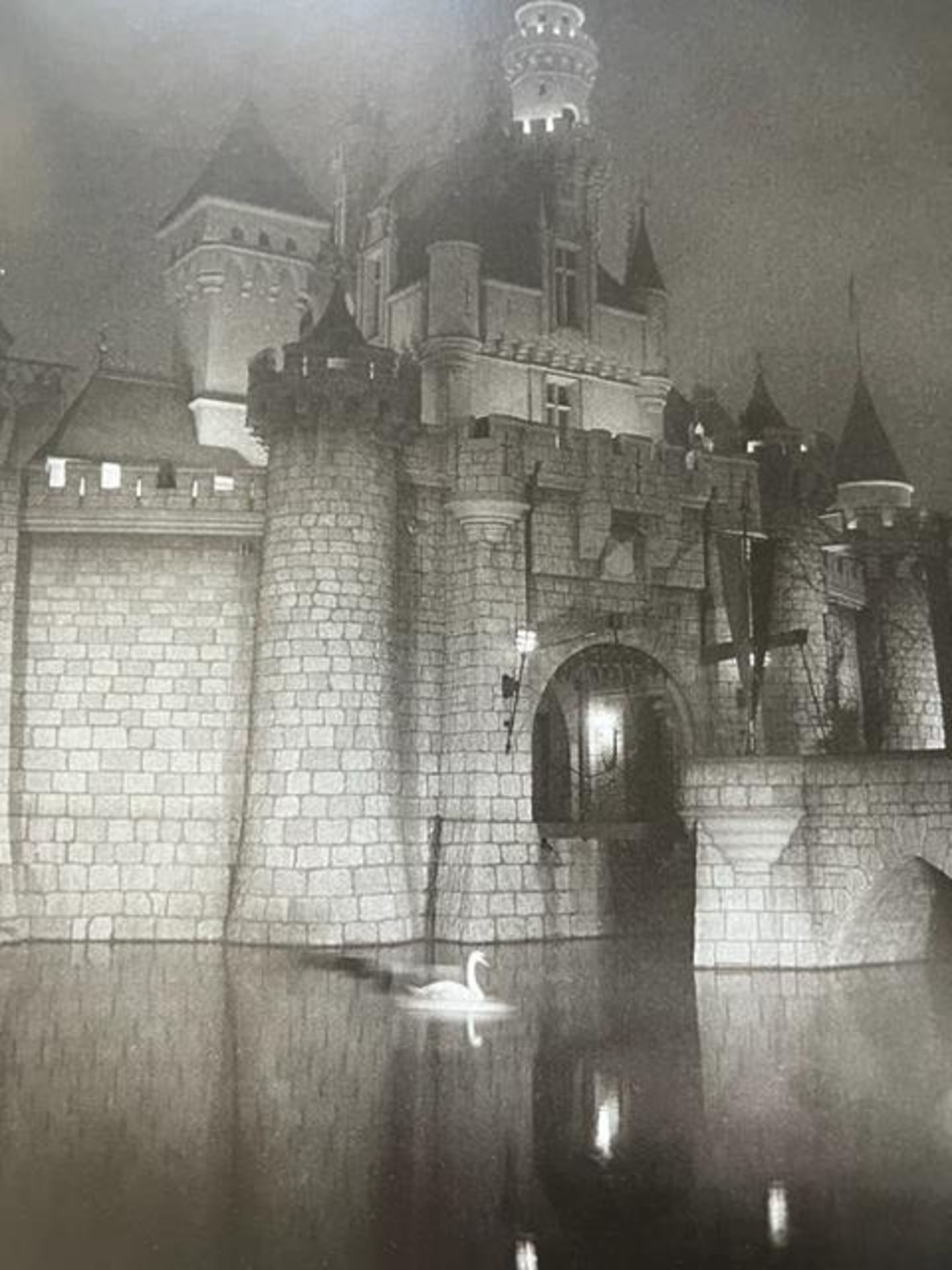 Diane Arbus "A castle in Disneyland" Print. - Image 4 of 6