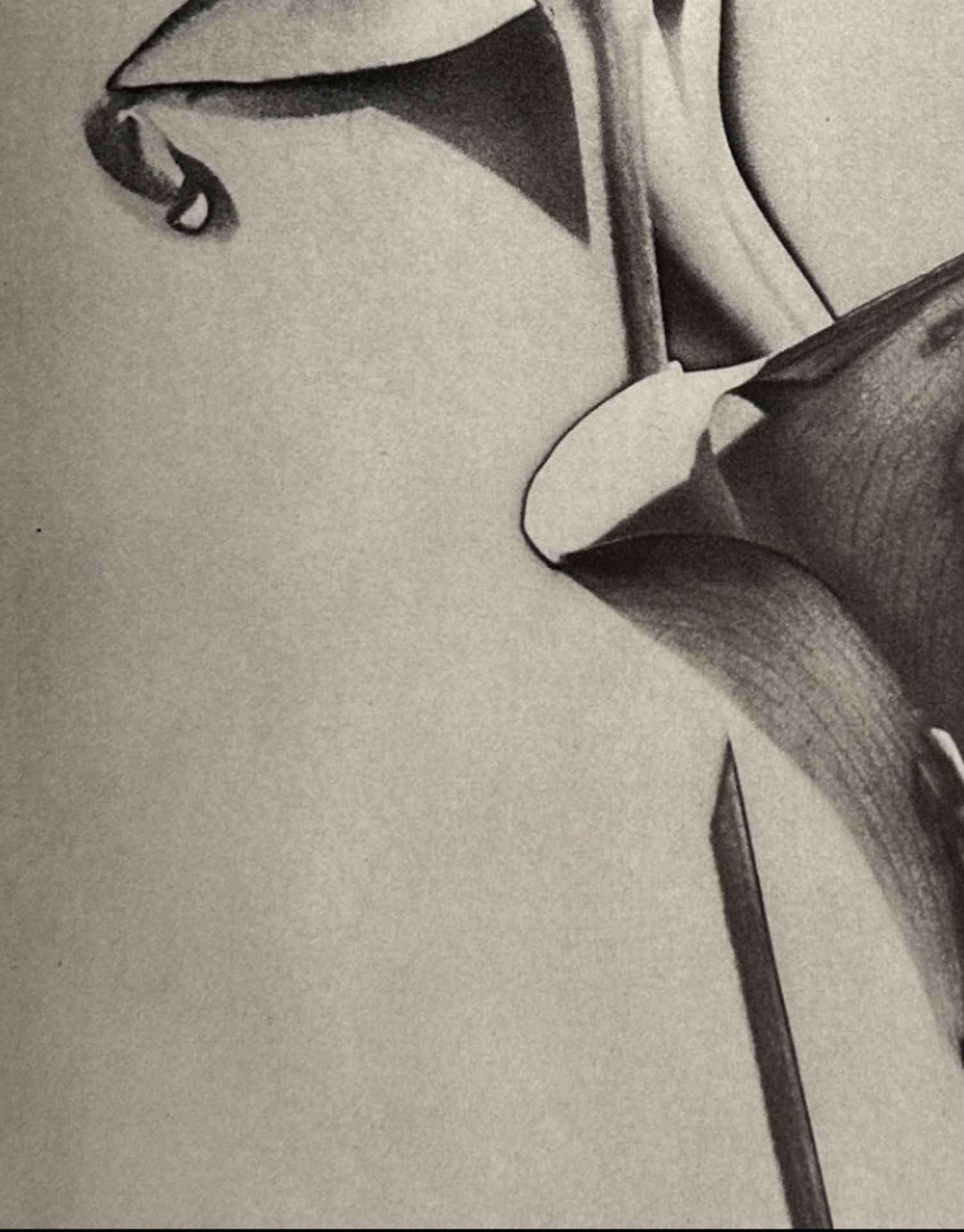 Man Ray "Untitled" Print.  - Image 3 of 6