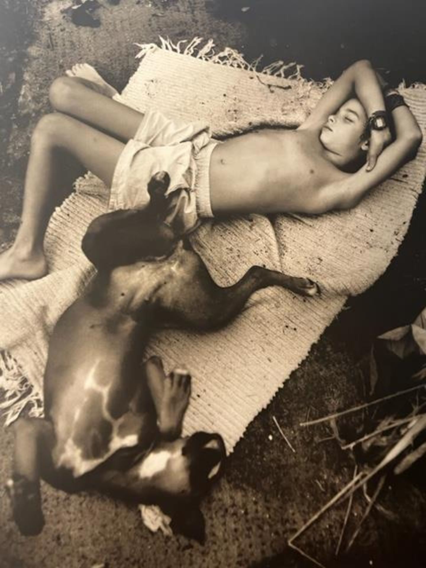 Sally Mann "The Hot Dog" Print.