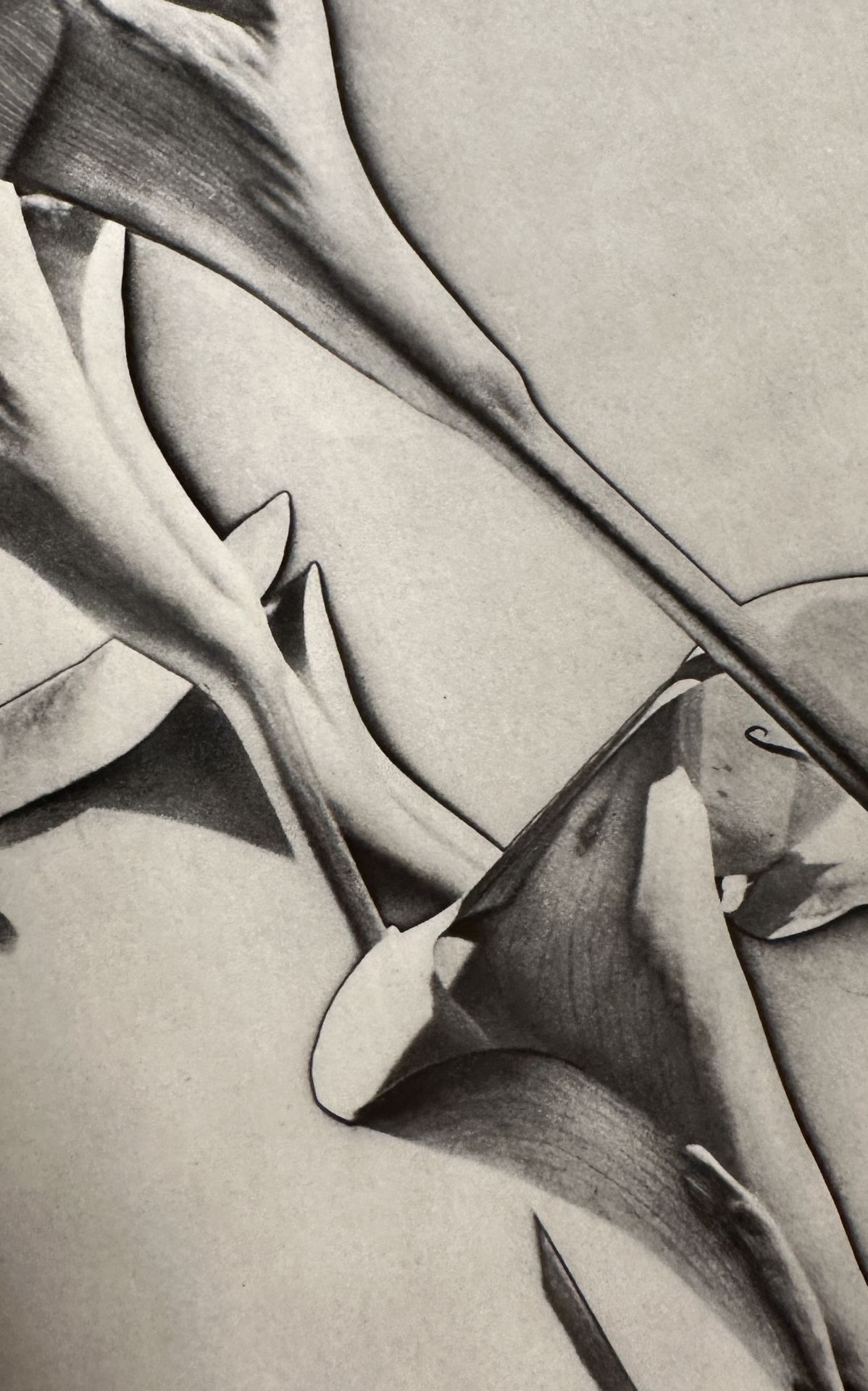 Man Ray "Untitled" Print.  - Image 6 of 6