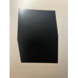 Ellsworth Kelly "Concorde I" Print.