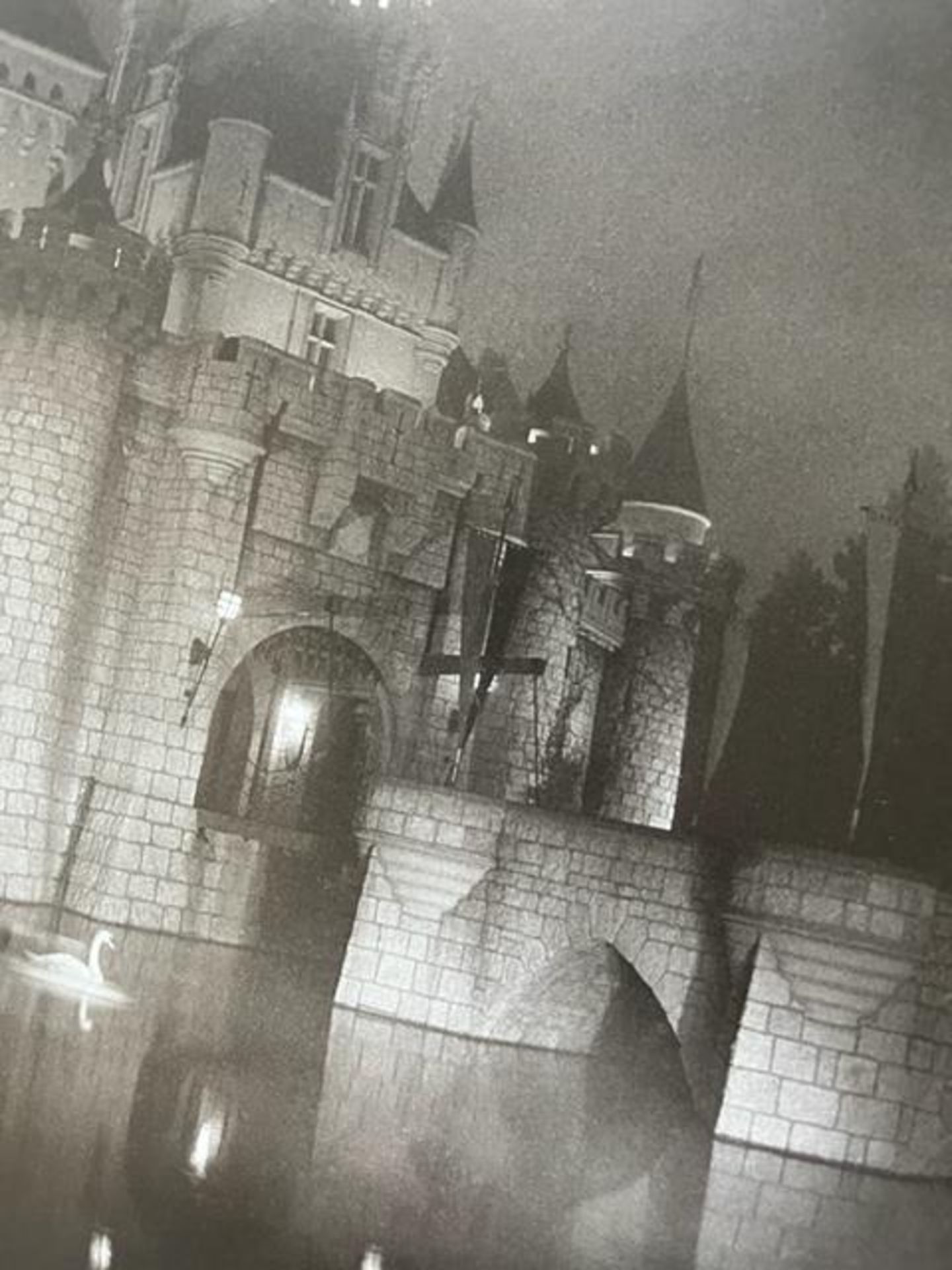 Diane Arbus "A castle in Disneyland" Print. - Image 6 of 6