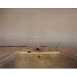 Richard Misrach "Desert Fire #1 1983" Print.