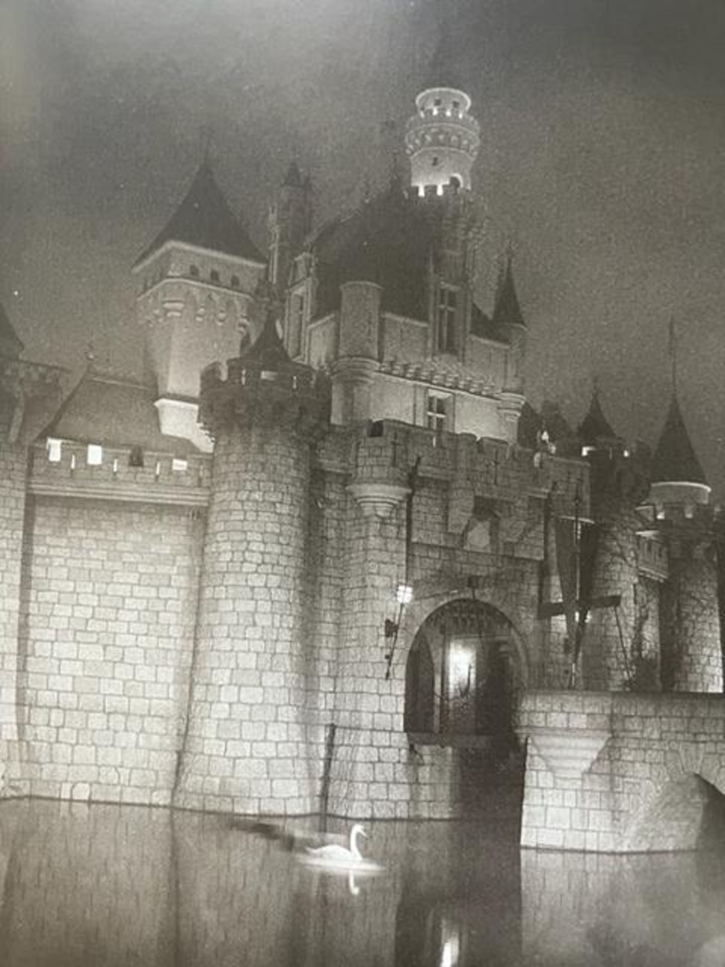 Diane Arbus "A castle in Disneyland" Print. - Image 3 of 6