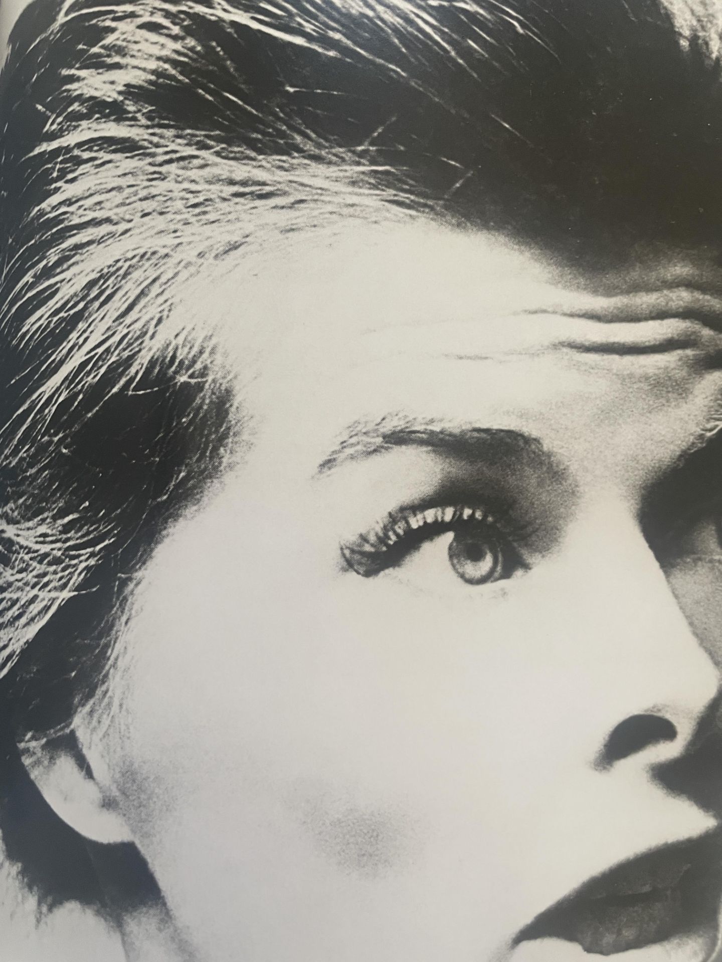 Richard Avedon â€œKatharine Hepburn, New York Studio, March 1955 â€ Print - Bild 3 aus 3