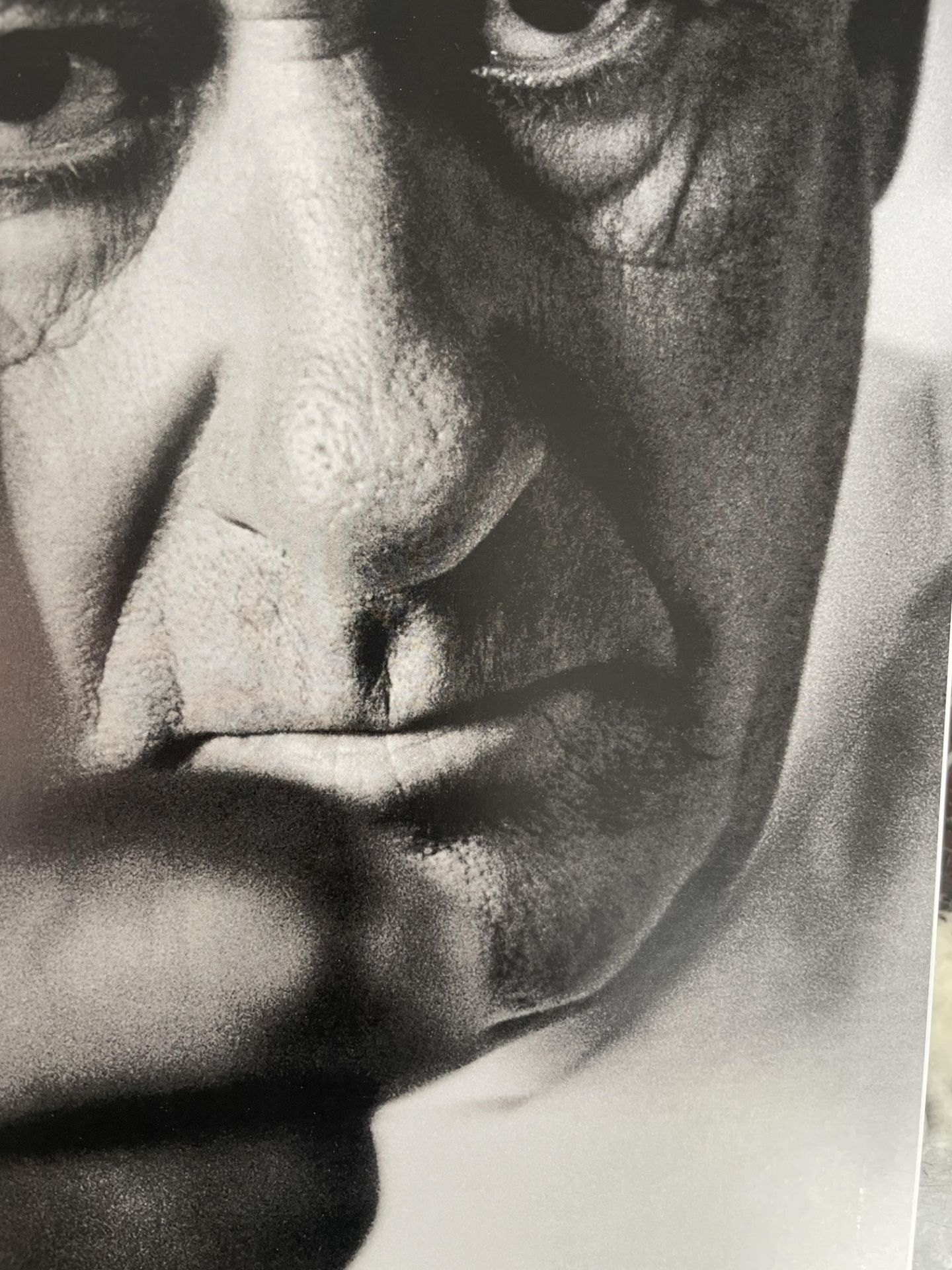 Helmut Newton â€œSelf-Portrait, Monte Carlo, 1993â€ Print - Image 5 of 6