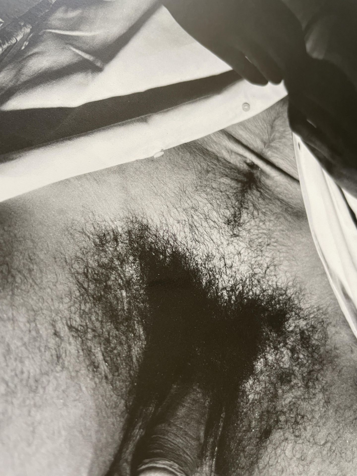 George Platt Lynes â€œUntitled Nude, 1955â€ Print - Image 6 of 6