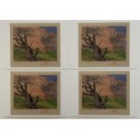 Gustave Baumann "The Bishops Apricot" Lot of Cards