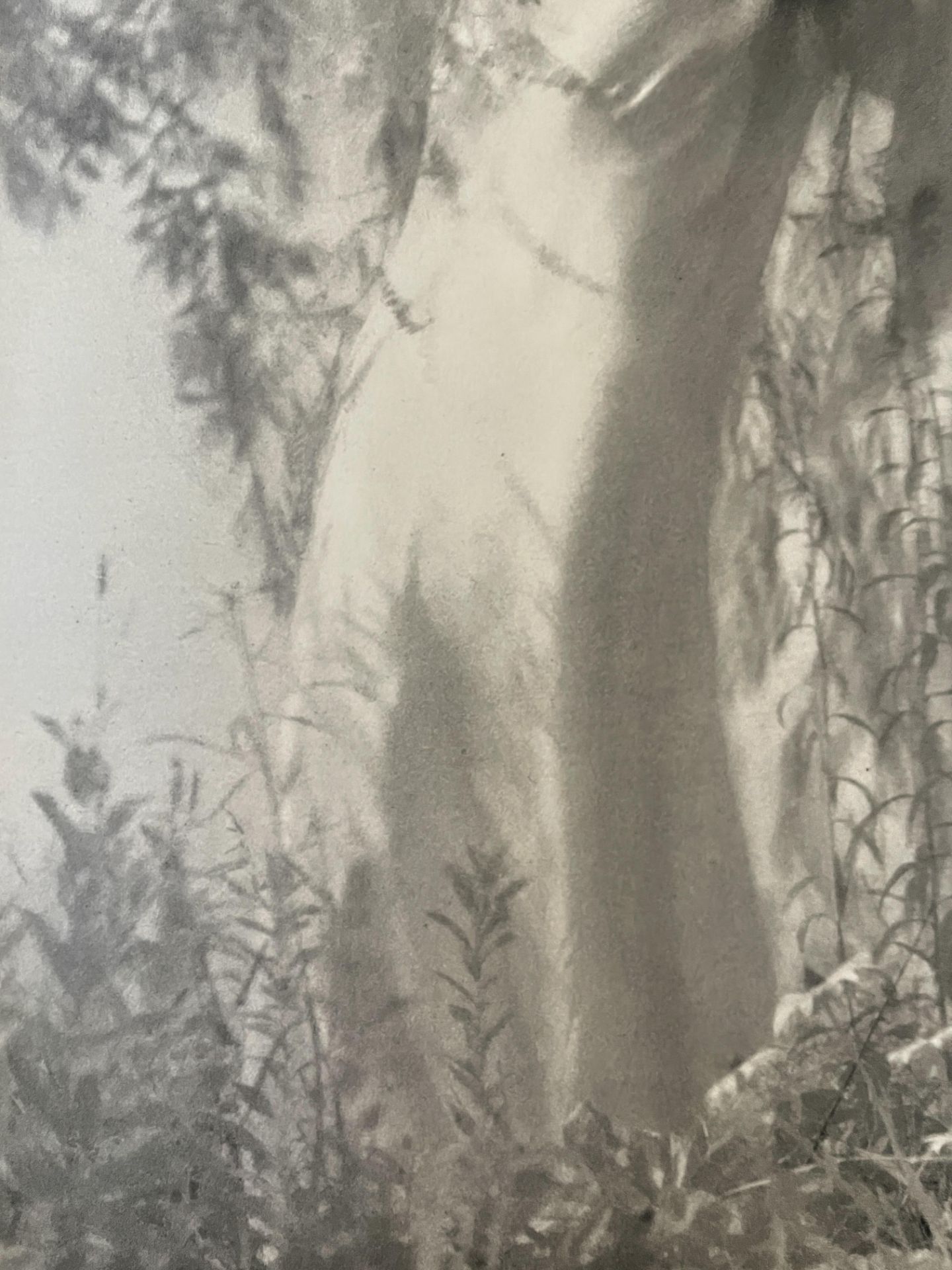 Edward Steichen â€œLillian Gish as Ophelia, Connecticut, 1936â€ Print - Bild 3 aus 6