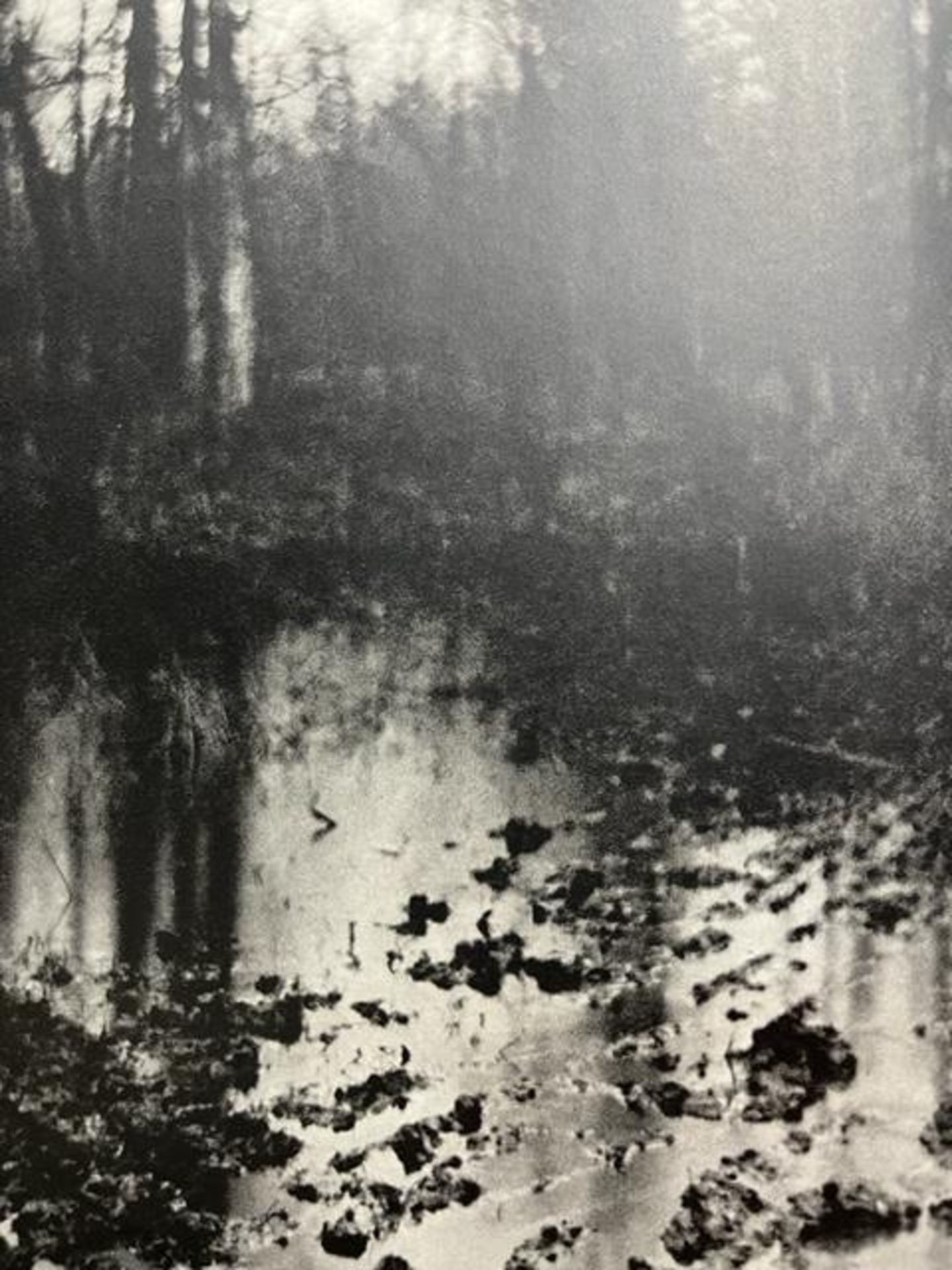 Edward Steichen "The Pool - Evening" Print. - Image 2 of 6