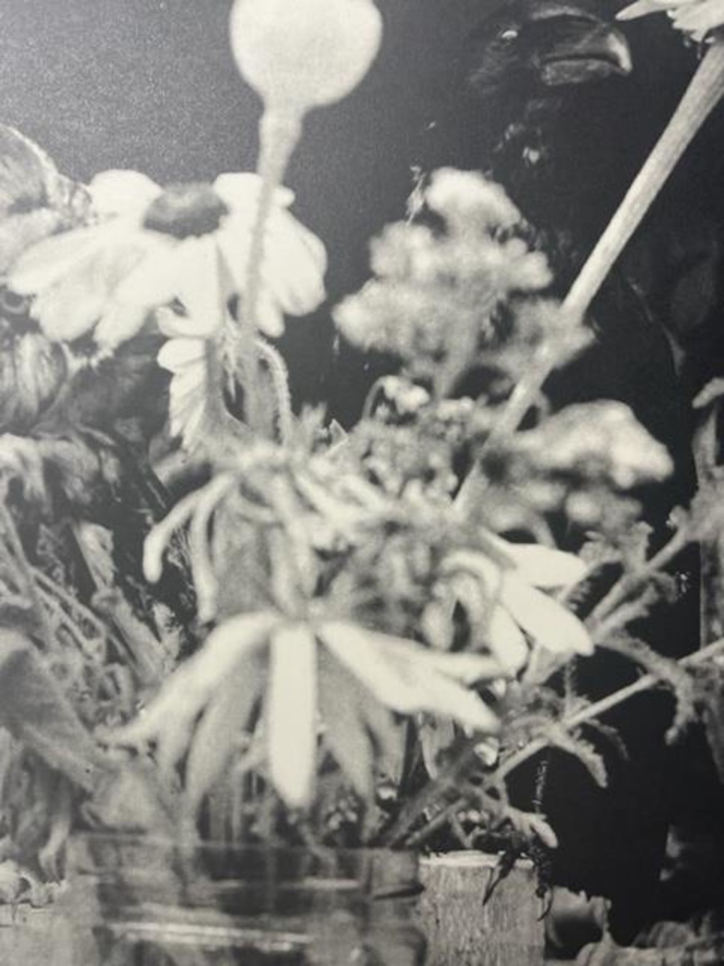 Jim Dine "Untitled" Print. - Image 4 of 6