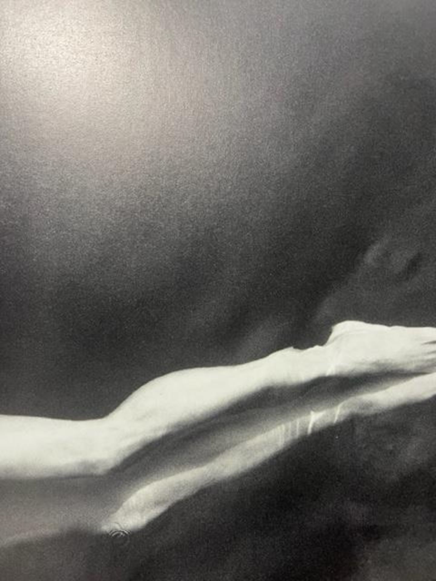Annie Leibovitz "Untitled" Print. - Image 3 of 6