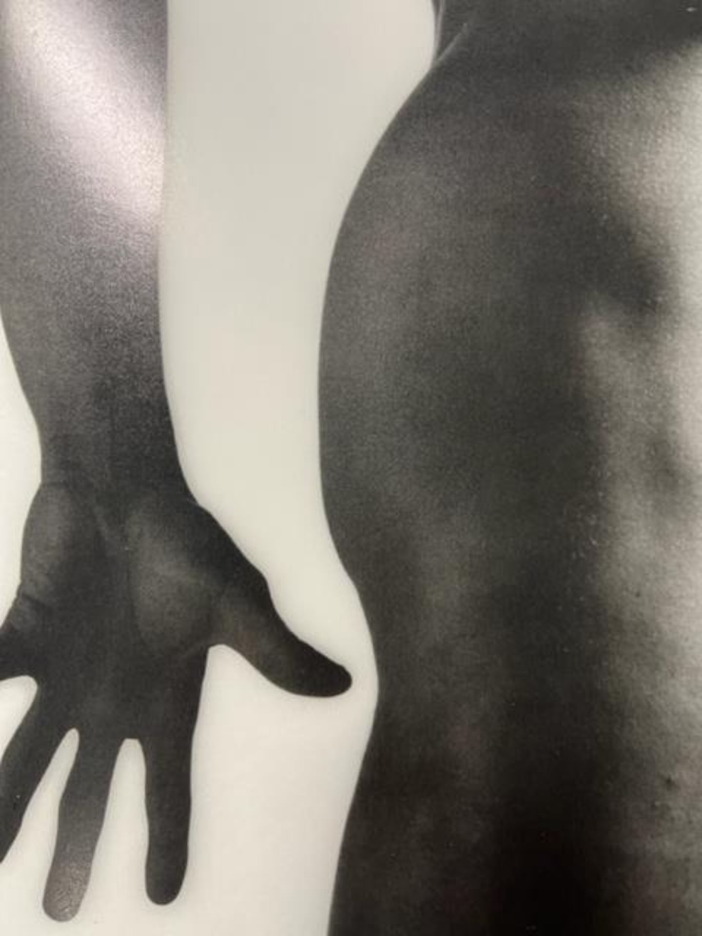 Robert Mapplethorpe "Untitled" Print.