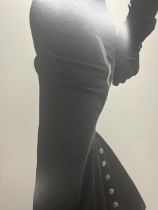 Irving Penn "Fath Detail" Print.