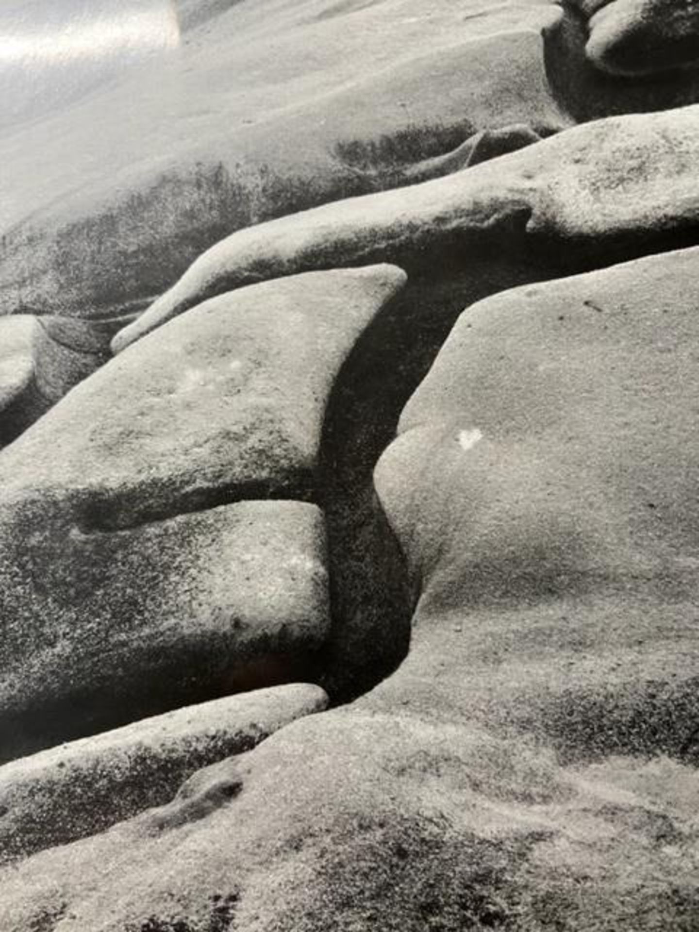 Edward Weston "Eroded Rock" Print. - Image 4 of 6