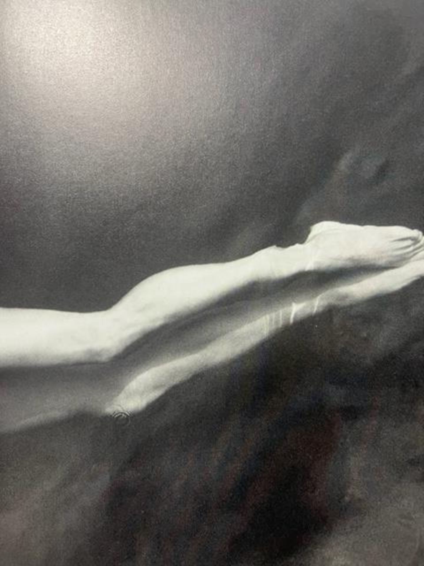 Annie Leibovitz "Untitled" Print. - Image 4 of 6