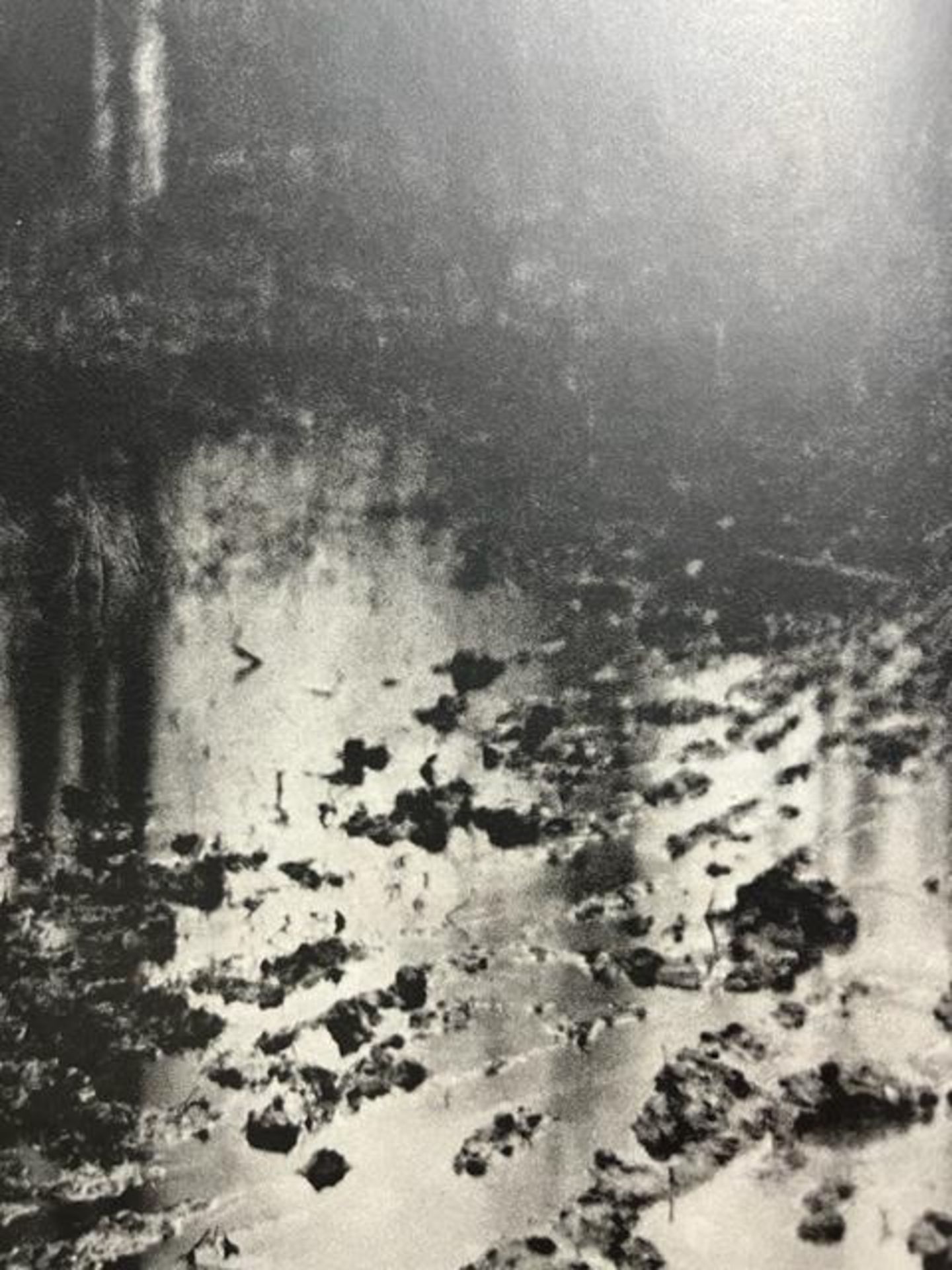 Edward Steichen "The Pool - Evening" Print. - Bild 5 aus 6