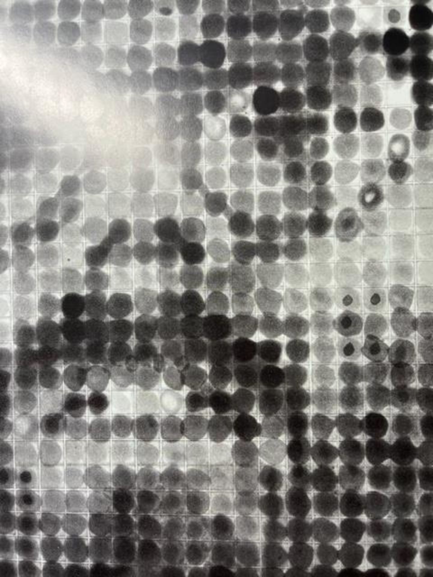 Chuck Close "Untitled" Print. - Image 5 of 6