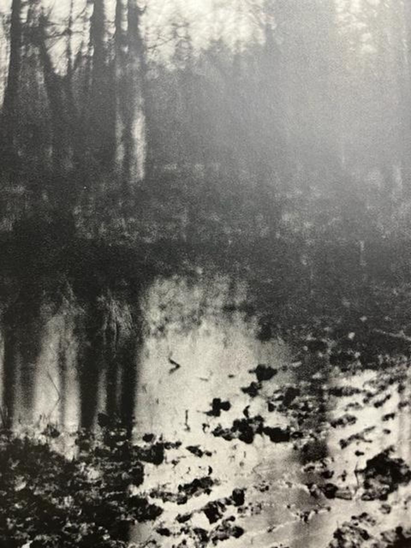 Edward Steichen "The Pool - Evening" Print. - Image 3 of 6