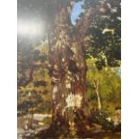Claude Monet "The Boulder Oak" Print.