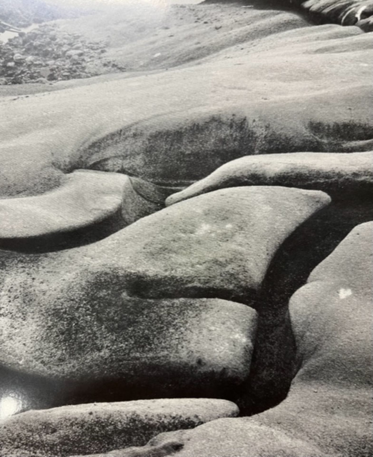 Edward Weston "Eroded Rock" Print. - Image 5 of 6