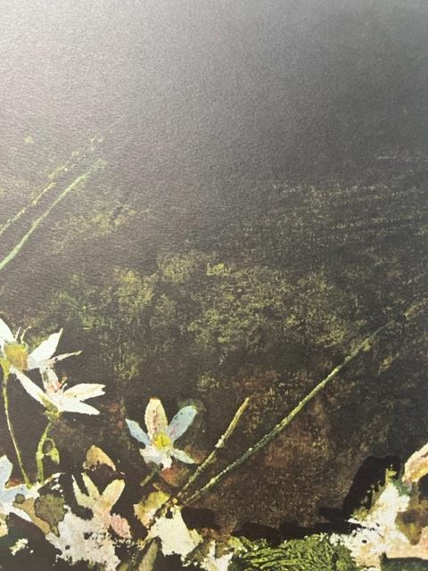 Andrew Wyeth "May Day" Print. - Bild 2 aus 6