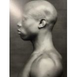 Robert Mapplethorpe "Untitled" Print.