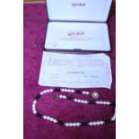 A boxed set of Shima pearls