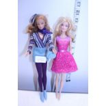Two Barbie Dolls including a collectable air hostess model