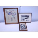 Three framed oriental pictures