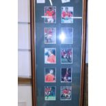 A selection of collectable framed British Lions collectors cards