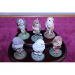 Six assorted Royal Doulton Owl figurines on a wooden stand