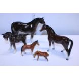 A selection of ceramic horses