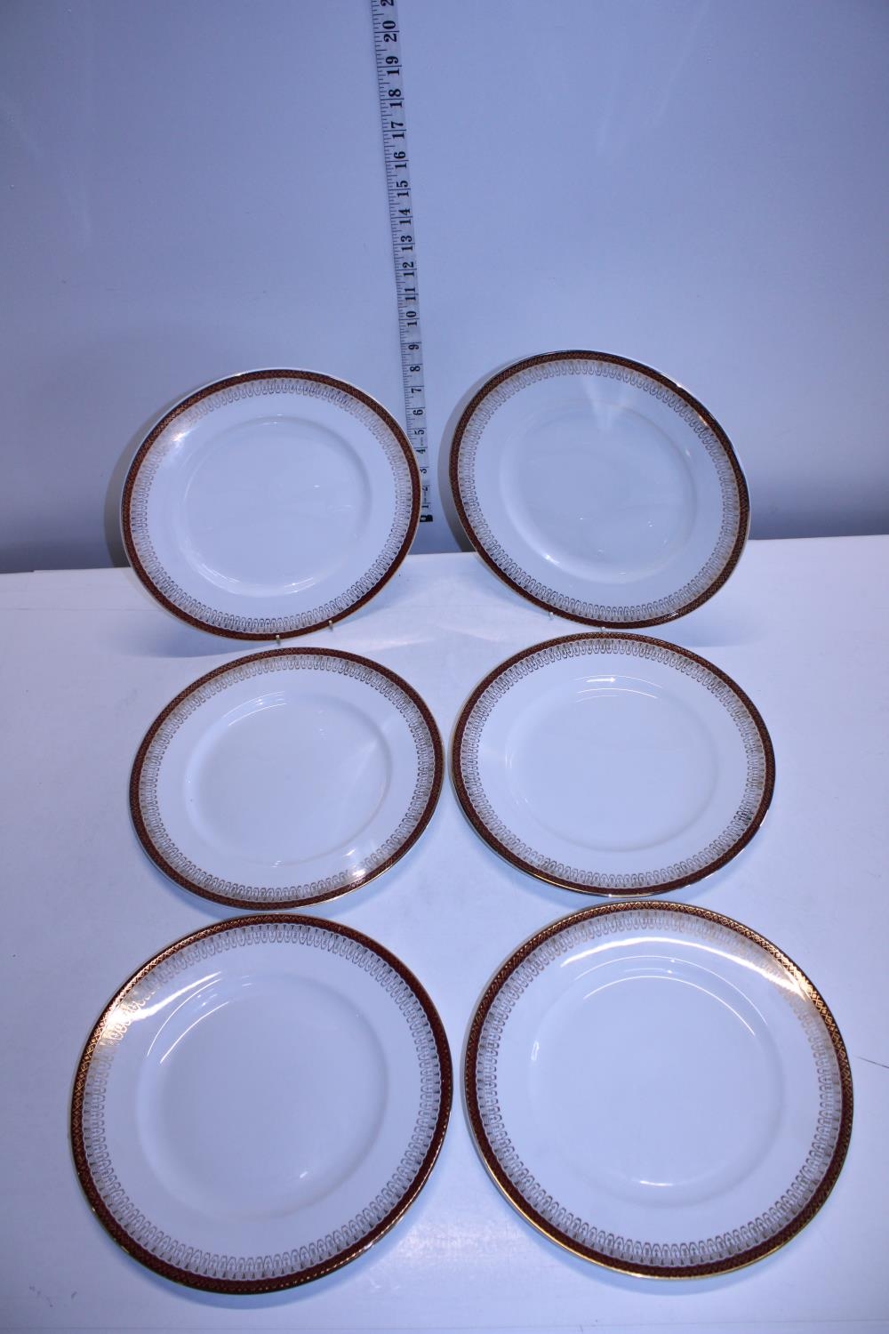 Six Royal Grafton Majestic bone china dinner plates