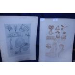 Two Art Noveau lithographs