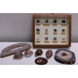 A selection of natural minerals & sea shells