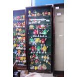 A glazed display cabinet & contents. 82cm x 32cm. Postage unavailable