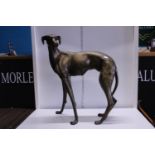 A large cast metal and bronzed study of a Greyhound approx h84 x w65cm, shipping unavailable
