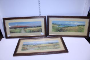 Three framed landscape prints