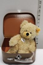 A Steiff teddy bear in suitcase